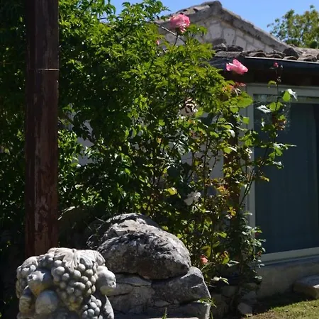 Guest house Oasi Di Campagna *