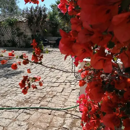 Oasi Di Campagna Guest house *