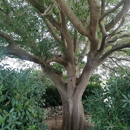 Oasi Di Campagna Modica