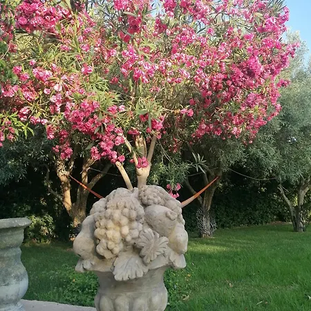 Oasi Di Campagna Luxury Affittacamere Modica