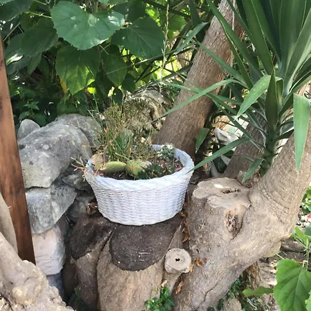 Oasi Di Campagna Pensionat Modica