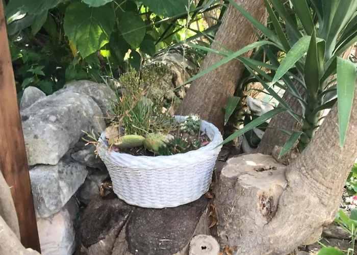 Oasi Di Campagna בית הארחה מודיקה